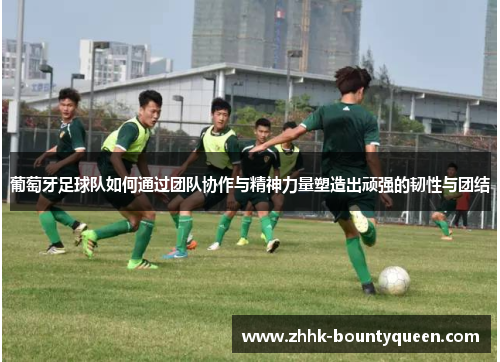 葡萄牙足球队如何通过团队协作与精神力量塑造出顽强的韧性与团结