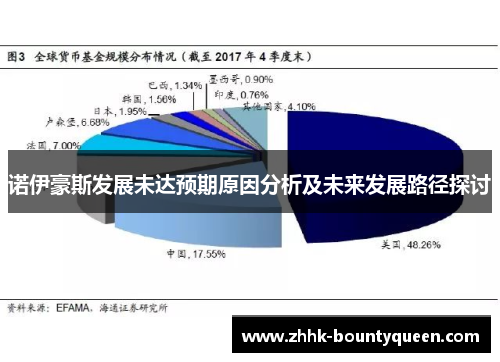诺伊豪斯发展未达预期原因分析及未来发展路径探讨